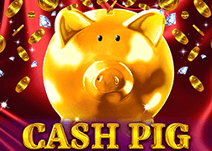 Cash Pig